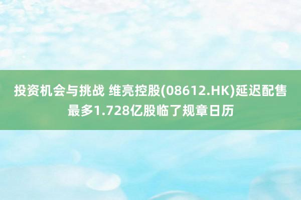 投资机会与挑战 维亮控股(08612.HK)延迟配售最多1.728亿股临了规章日历