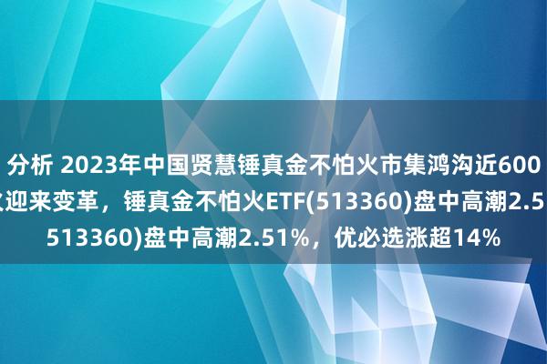 分析 2023年中国贤慧锤真金不怕火市集鸿沟近600亿，AI+锤真金不怕火迎来变革，锤真金不怕火ETF(513360)盘中高潮2.51%，优必选涨超14%