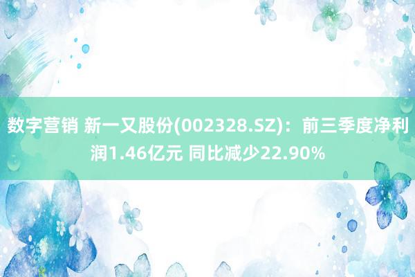 数字营销 新一又股份(002328.SZ)：前三季度净利润1.46亿元 同比减少22.90%