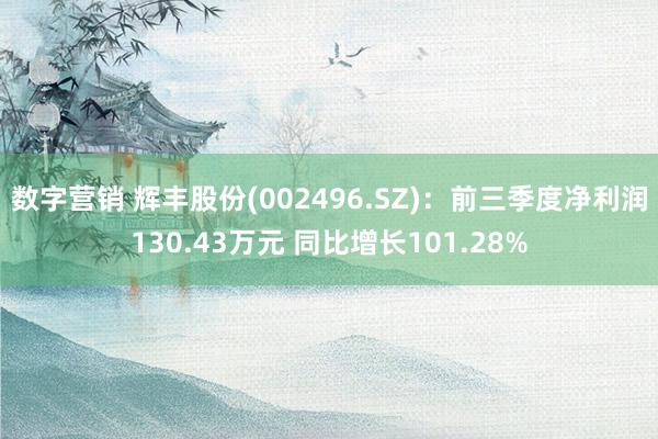 数字营销 辉丰股份(002496.SZ)：前三季度净利润130.43万元 同比增长101.28%