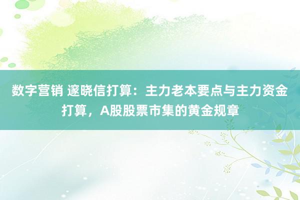 数字营销 邃晓信打算：主力老本要点与主力资金打算，A股股票市集的黄金规章