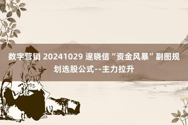 数字营销 20241029 邃晓信“资金风暴”副图规划选股公式--主力拉升