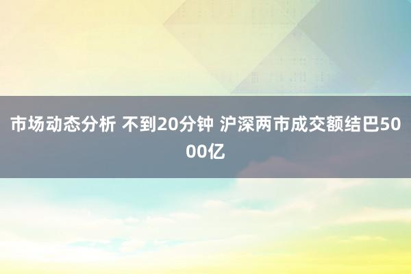 市场动态分析 不到20分钟 沪深两市成交额结巴5000亿