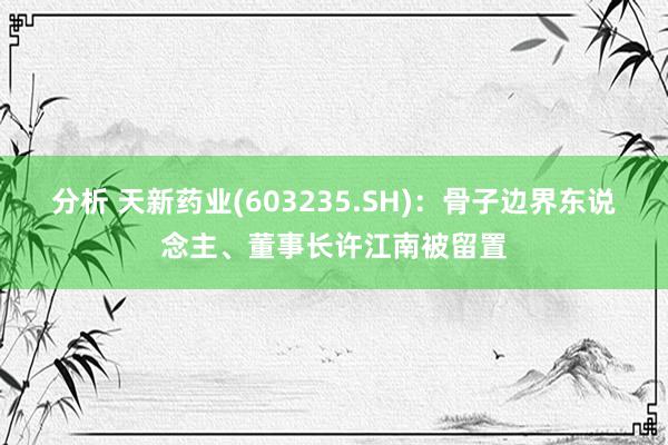 分析 天新药业(603235.SH)：骨子边界东说念主、董事长许江南被留置