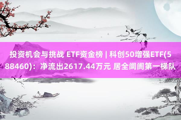 投资机会与挑战 ETF资金榜 | 科创50增强ETF(588460)：净流出2617.44万元 居全阛阓第一梯队