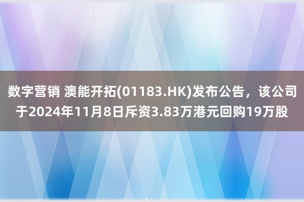 数字营销 澳能开拓(01183.HK)发布公告，该公司于2024年11月8日斥资3.83万港元回购19万股