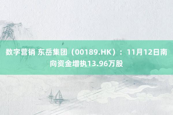 数字营销 东岳集团（00189.HK）：11月12日南向资金增执13.96万股