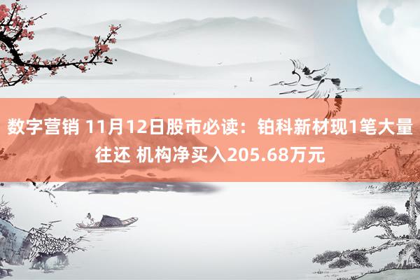 数字营销 11月12日股市必读：铂科新材现1笔大量往还 机构净买入205.68万元