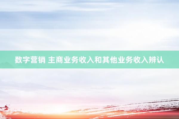 数字营销 主商业务收入和其他业务收入辨认