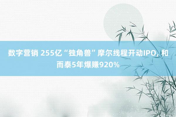 数字营销 255亿“独角兽”摩尔线程开动IPO, 和而泰5年爆赚920%