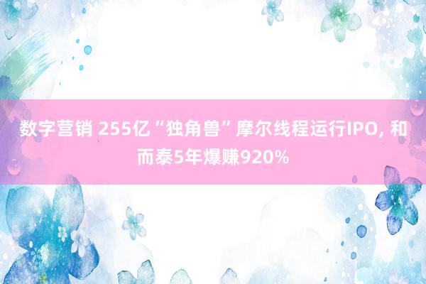 数字营销 255亿“独角兽”摩尔线程运行IPO, 和而泰5年爆赚920%