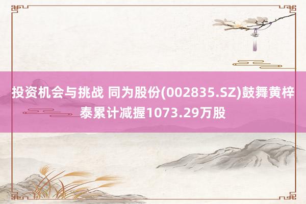 投资机会与挑战 同为股份(002835.SZ)鼓舞黄梓泰累计减握1073.29万股