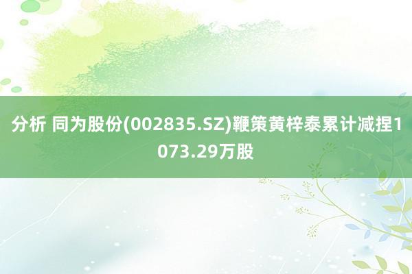 分析 同为股份(002835.SZ)鞭策黄梓泰累计减捏1073.29万股