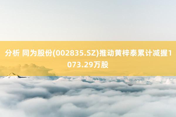 分析 同为股份(002835.SZ)推动黄梓泰累计减握1073.29万股