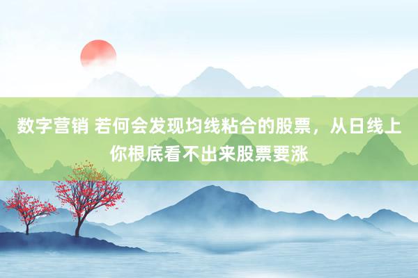 数字营销 若何会发现均线粘合的股票，从日线上你根底看不出来股票要涨