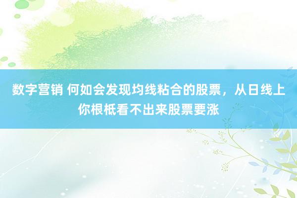 数字营销 何如会发现均线粘合的股票，从日线上你根柢看不出来股票要涨