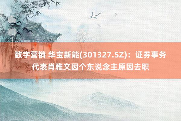 数字营销 华宝新能(301327.SZ)：证券事务代表肖雅文因个东说念主原因去职