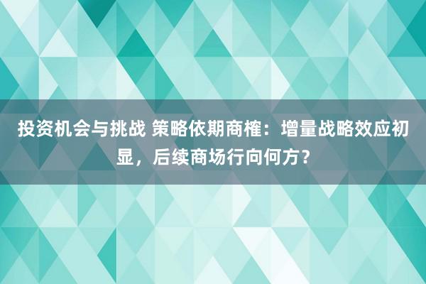 投资机会与挑战 策略依期商榷：增量战略效应初显，后续商场行向何方？