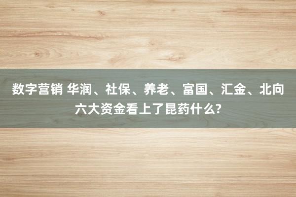 数字营销 华润、社保、养老、富国、汇金、北向六大资金看上了昆药什么?