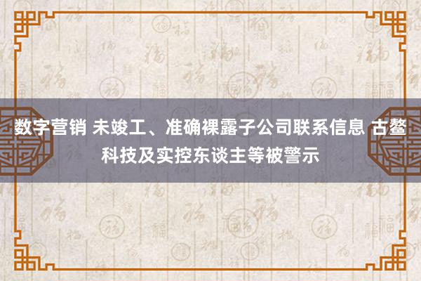 数字营销 未竣工、准确裸露子公司联系信息 古鳌科技及实控东谈主等被警示