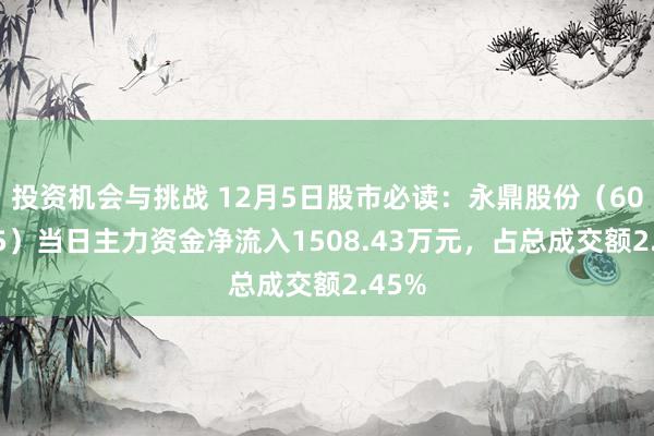 投资机会与挑战 12月5日股市必读：永鼎股份（600105）当日主力资金净流入1508.43万元，占总成交额2.45%