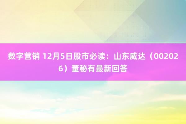 数字营销 12月5日股市必读：山东威达（002026）董秘有最新回答