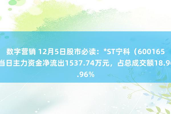 数字营销 12月5日股市必读：*ST宁科（600165）当日主力资金净流出1537.74万元，占总成交额18.96%