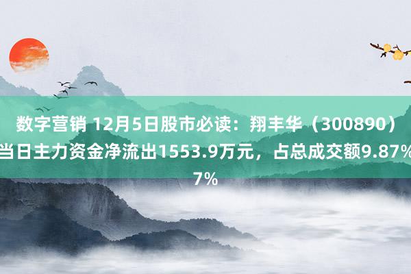 数字营销 12月5日股市必读：翔丰华（300890）当日主力资金净流出1553.9万元，占总成交额9.87%