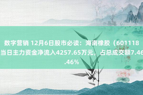 数字营销 12月6日股市必读：海南橡胶（601118）当日主力资金净流入4257.65万元，占总成交额7.46%