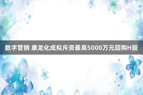 数字营销 康龙化成拟斥资最高5000万元回购H股