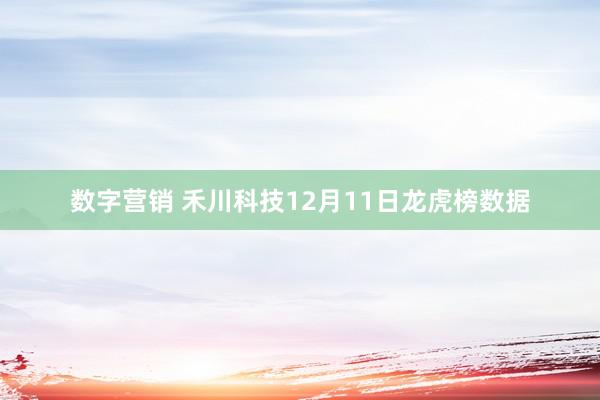 数字营销 禾川科技12月11日龙虎榜数据