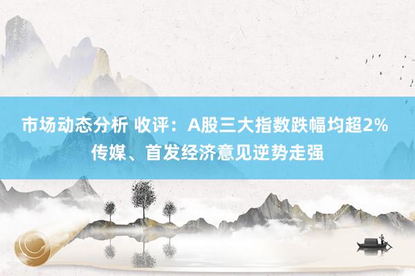 市场动态分析 收评：A股三大指数跌幅均超2% 传媒、首发经济意见逆势走强