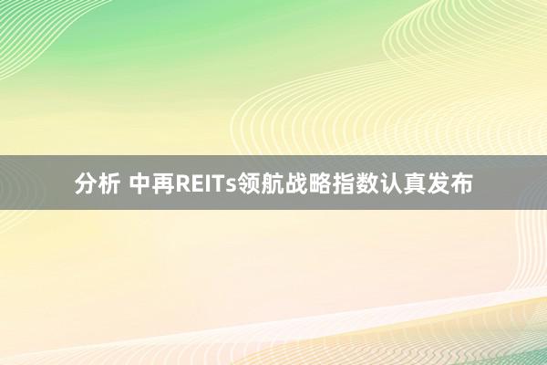 分析 中再REITs领航战略指数认真发布