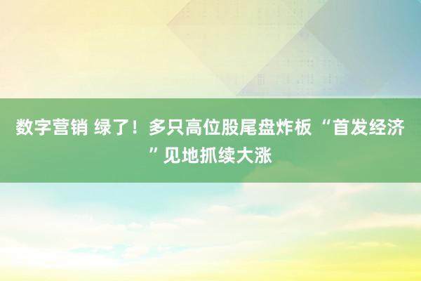 数字营销 绿了！多只高位股尾盘炸板 “首发经济”见地抓续大涨