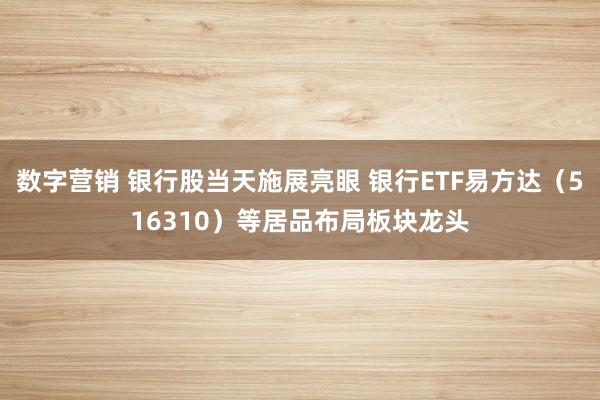 数字营销 银行股当天施展亮眼 银行ETF易方达（516310）等居品布局板块龙头