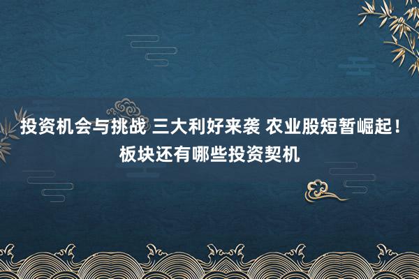 投资机会与挑战 三大利好来袭 农业股短暂崛起！板块还有哪些投资契机