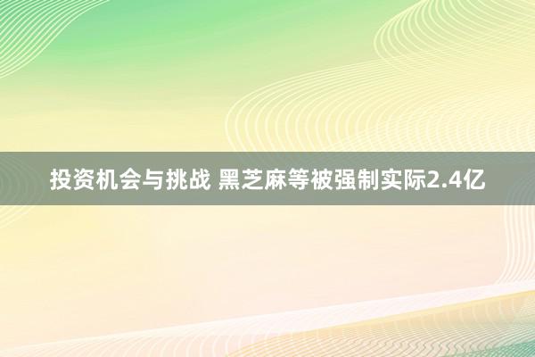 投资机会与挑战 黑芝麻等被强制实际2.4亿