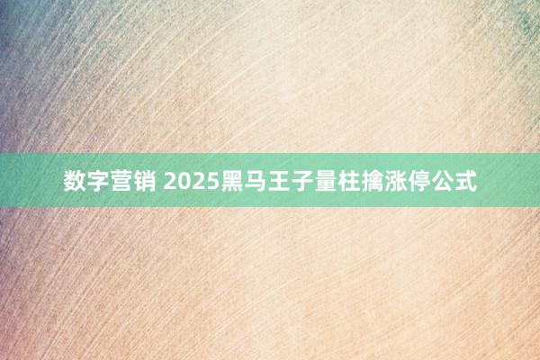 数字营销 2025黑马王子量柱擒涨停公式