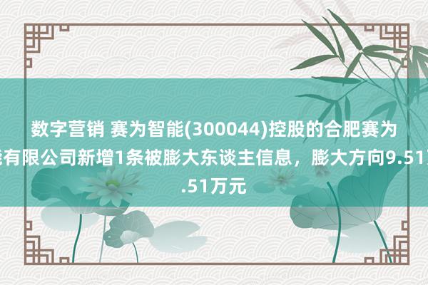 数字营销 赛为智能(300044)控股的合肥赛为智能有限公司新增1条被膨大东谈主信息，膨大方向9.51万元