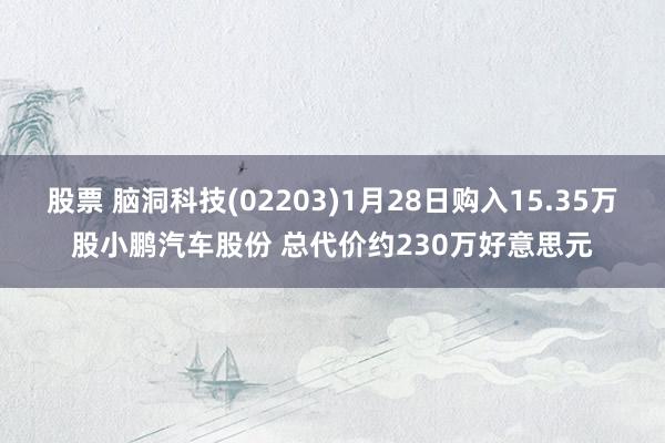 股票 脑洞科技(02203)1月28日购入15.35万股小鹏汽车股份 总代价约230万好意思元