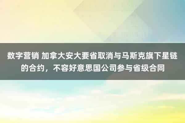 数字营销 加拿大安大要省取消与马斯克旗下星链的合约，不容好意思国公司参与省级合同