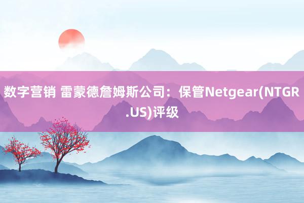 数字营销 雷蒙德詹姆斯公司：保管Netgear(NTGR.US)评级