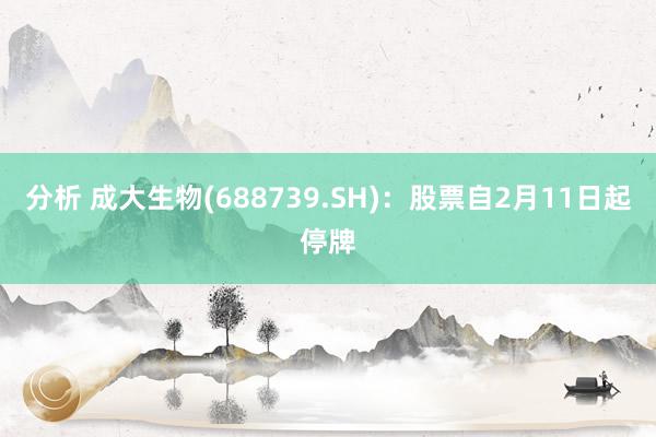 分析 成大生物(688739.SH)：股票自2月11日起停牌