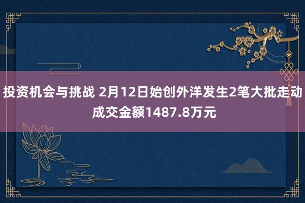 投资机会与挑战 2月12日始创外洋发生2笔大批走动 成交金额1487.8万元