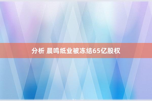 分析 晨鸣纸业被冻结65亿股权