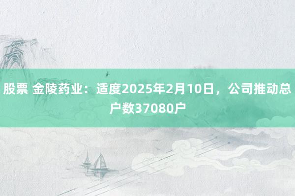 股票 金陵药业：适度2025年2月10日，公司推动总户数37080户