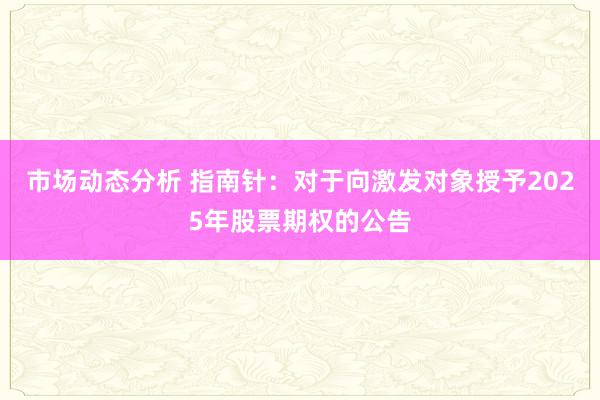 市场动态分析 指南针：对于向激发对象授予2025年股票期权的公告