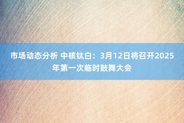 市场动态分析 中核钛白：3月12日将召开2025年第一次临时鼓舞大会