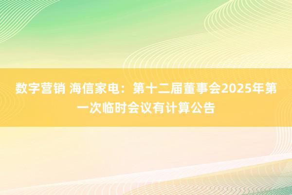 数字营销 海信家电：第十二届董事会2025年第一次临时会议有计算公告