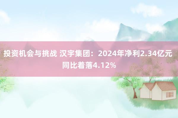 投资机会与挑战 汉宇集团：2024年净利2.34亿元 同比着落4.12%